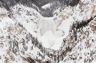 Waterval in Yellowstone Nationaal Park in de winter van Caroline Piek thumbnail