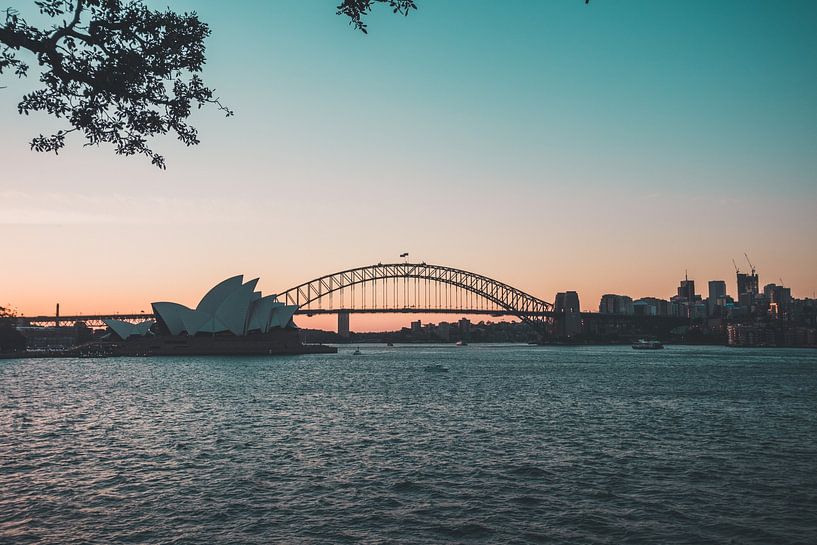 Sydney by Hello Pompoyo