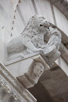 Beeld van Leeuw die draak dood op de Sint Martin Kathedraal in Lucca, Toscane, Italië