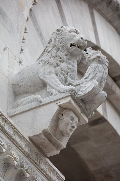 Löwe, der einen Drachen tötet, Statue in der Kathedrale St. Martin in Lucca, Toskana, Italien von Joost Adriaanse