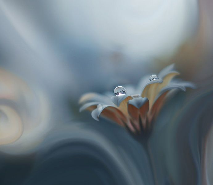 Un désir infini... par Juliana Nan