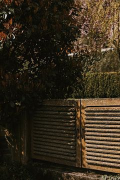 Authentiek tuinhek in het zonnetje. Marchin, Belgische Ardennen van Manon Visser