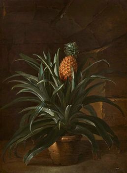 Un ananas dans un pot, Jean-Baptiste Oudry