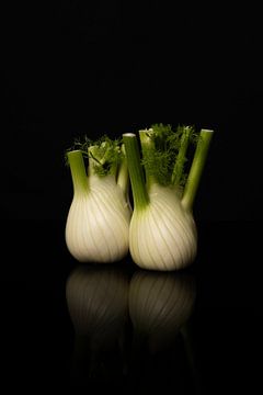 Fennel by Elles Rijsdijk