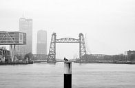De Hef in Rotterdam von MS Fotografie | Marc van der Stelt Miniaturansicht