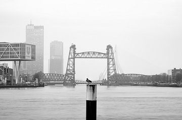 De Hef in Rotterdam by MS Fotografie | Marc van der Stelt