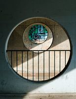 Tunnelvisie