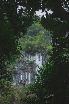 Khao Sok: Een Paradijs van Natuurlijke Wonderen in Thailand van Ken Tempelers