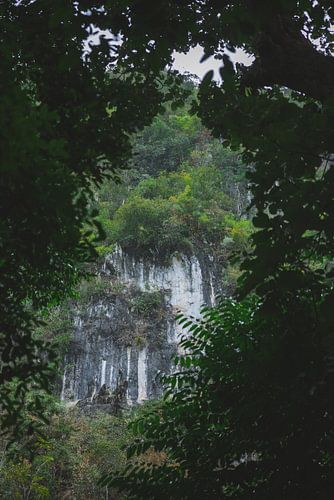 Khao Sok: Een Paradijs van Natuurlijke Wonderen in Thailand