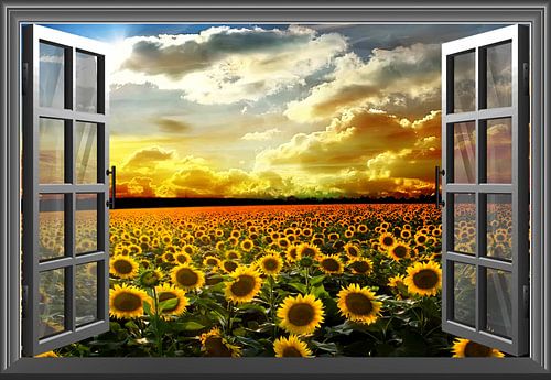 Verschiedene Windows-Versionen