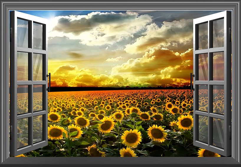 Verschiedene Windows-Versionen von Bert Hooijer
