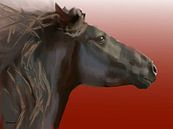 Paard, Frysk hynder. (Fries paard) van Alies werk thumbnail