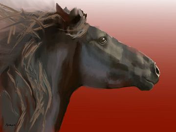 Horse, Frysk hynder. (Friesian horse) by Alies werk