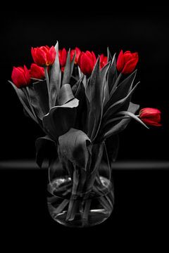 Black and red. Tulpen in een vaas. van Willem Holle WHOriginal Fotografie