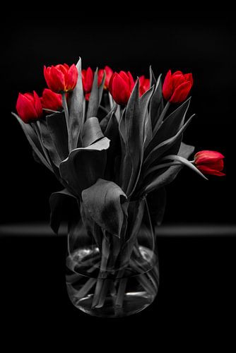 Black and red. Tulpen in een vaas.
