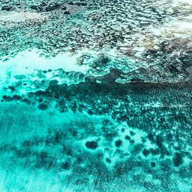 Aerial Summer - Türkisfarbenes Korallenriff von Philippe HUGONNARD