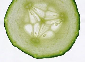Komkommer - Macro by foto zandwerk