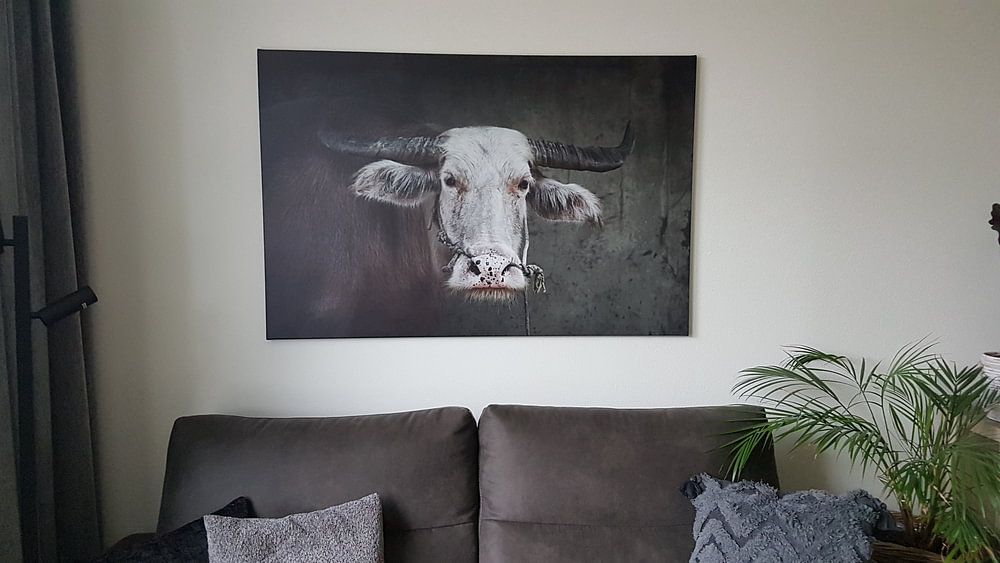 Büffel in Thailand  von Wianda Bakker 