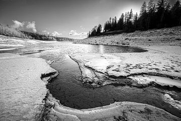Ein kalter Wintertag am See von Thomas Heins