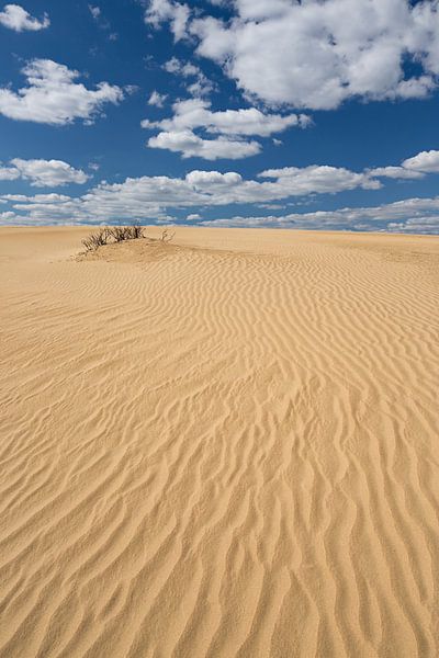 Lijnenspel in het zand. van Rob Christiaans