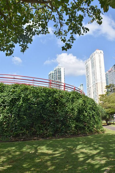 View of the promenades Cinta Costera in summer by Claude Laprise