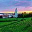 Der Bodensee