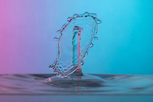 Splash