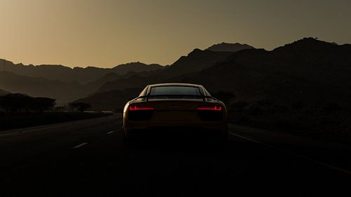 Audi R8 V10+ van Dennis Wierenga