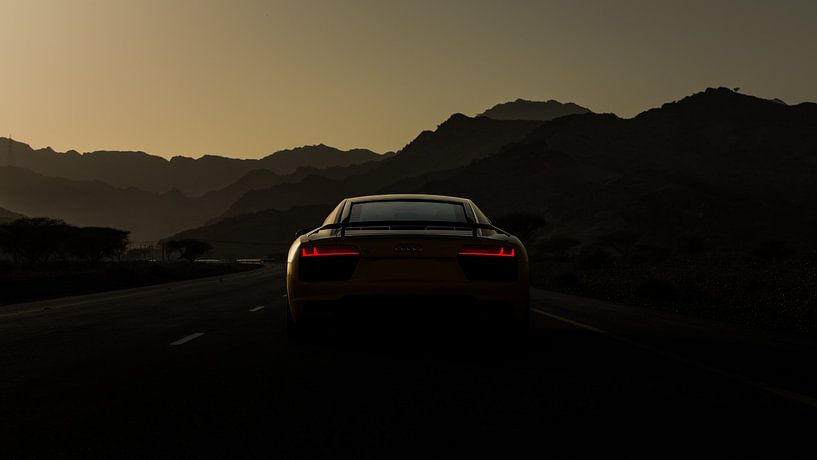 Audi R8 V10+ by Dennis Wierenga