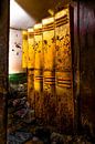 The locker by Wim Coudenys thumbnail