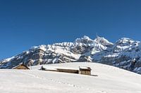 Blick auf den schneebedeckten Säntis
