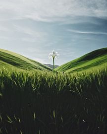 Aesthetic minimalism