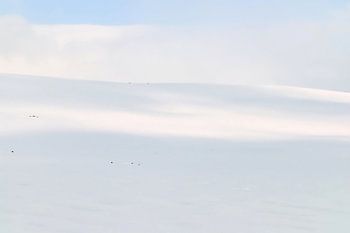 unberührte Schneelandschaft auf Island