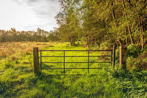 IJzeren hek tussen twee houten balken