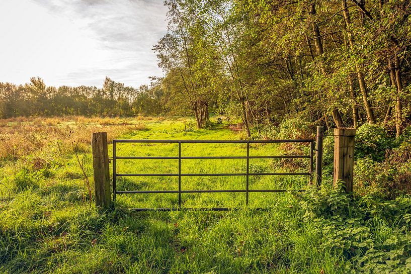Iron gate between two wooden beams by Ruud Morijn
