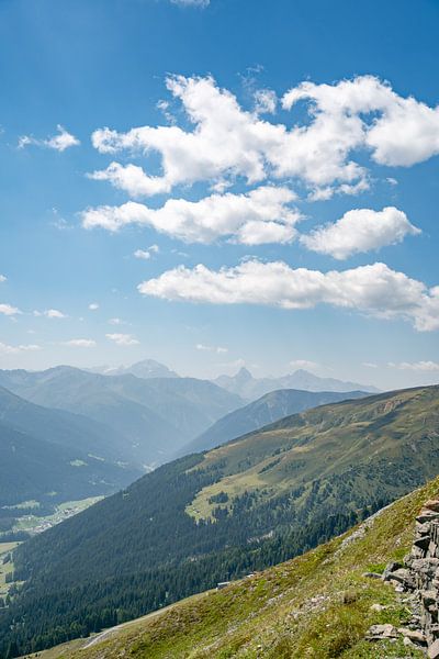 Davos und die Schweizer Alpen von Leo Schindzielorz