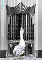 Elegante New Yorker