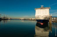 Cruiseship aangemeerd in Rotterdam van Brian Morgan thumbnail