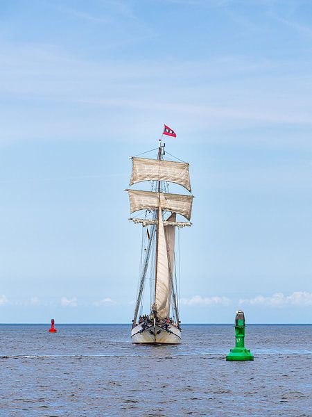 Sailing ships on the Baltic Sea during the Hanse Sail in Rostock by Rico Ködder
