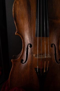 Violin by Lieke Roodbol