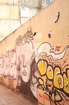 Barcelona Graffiti van Anke Helmich