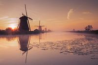 Nebliger Morgen in Kinderdijk
