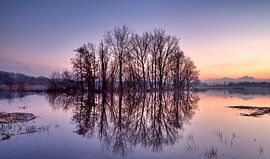 Sunset at Bourgoyen by Christophe Staelens