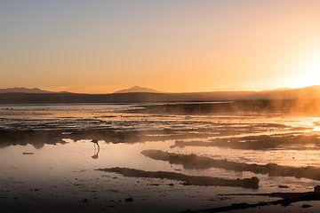 Zonsopkomt met Flamingo von Jelmer Laernoes