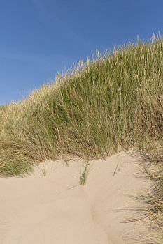 Three colours of coast