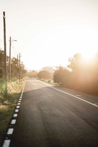 Weg in Zacht Ochtendlicht Eindeloze Rust