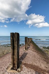 Frankreich Normandie Löwe Sur Mer