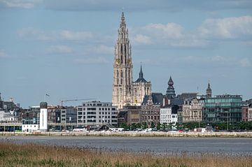 Antwerp from the left bank