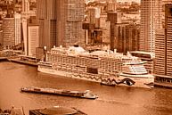 Rotterdam Wilhelminapier - monochrome by Frans Blok - photos, art and other wall decoration thumbnail