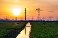 Windspurmasten 380kv-Verbindung Vierverlaten Eemshaven von Evert Jan Luchies Miniaturansicht